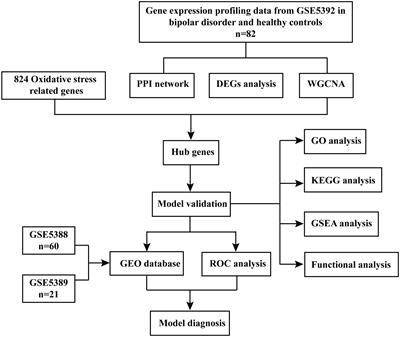 Exploring hub genes and crucial pathways linked to oxidative stress in bipolar disorder depressive episodes through bioinformatics analysis